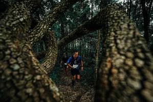 BIB: 
                            <button type="button" onclick="openModal(25672350)" class="btn btn-primary btn-sm float-right btn-popup" data-toggle="modal" data-target=".modal-high-quality">
                        <i class="fas fa-shopping-cart"></i> Add to Cart
                    </button>
                                            <button type="button" onclick="isThisMe(25672350, true)" class="btn btn-success btn-sm float-right btn-popup btn-isme hidden" data-toggle="tooltip" data-placement="bottom" title="นี่คือรูปของคุณใช่ไหม คลิกที่นี่เพื่อเอาเข้าอัลบั้ม">
                        <i class="fas fa-plus"></i> Add to album
                    </button>
                    <button type="button" onclick="isThisMe(25672350, false)" class="btn btn-warning btn-sm float-right btn-popup btn-isnotme hidden">
                        <i class="fas fa-ban"></i> Remove from album
                    </button>